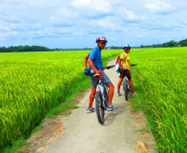 Bike tour to countryside