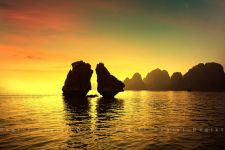 Highlight Vietnam Travel (14 Days - 13 Nights)