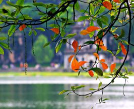 Top 10 things to do in Hanoi