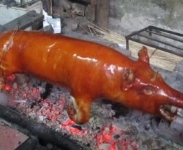 Cap Nach Pigs