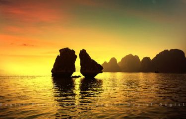 Highlight Vietnam Travel (14 Days - 13 Nights)