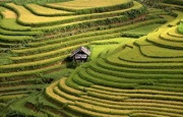 Ta Phin Village