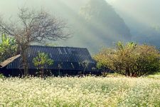 Biking: Hanoi - Son La -Tuan Giao - Dien Bien - Lai Chau - Sapa - Hanoi