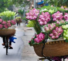 Full Day Hanoi Rural Life by Bicycle