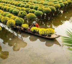 Mekong Delta - My Tho